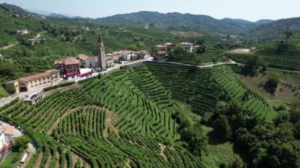 Vigne italiane in estate, nel paese di Prosecco, Vista aerea mozzafiato — Video Stock