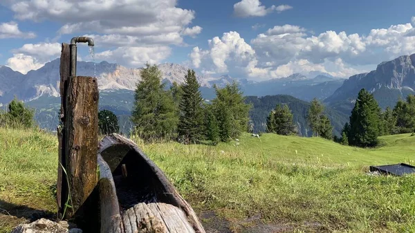 Dolomitlerde bir taze su çeşmesi, yakın plan.