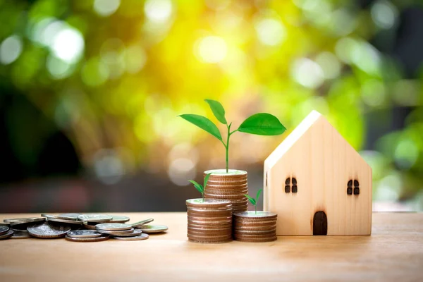 House model and plant growing on coins concept for saving money land and house.Business finance and money concept,home,loan,save money for prepare in the future on bokeh background.
