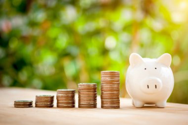 Business Financial and Save Money konsepti. Para birikintisi domuz kumbarasıyla büyümek için, gelecekte güneş ışığı arka planında büyüyen gelir için.