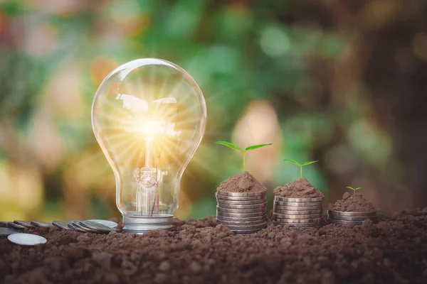 Light bulb and energy saving with soil on top and tree growing on coins stacks look like saving money for electricity, life energy on natural bokeh background.