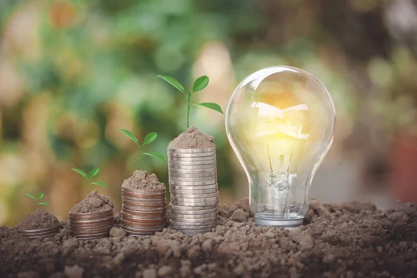 Energy saving light bulb with soil on top and tree growing on coins stacks look like saving money for electricity, life energy on natural bokeh background.