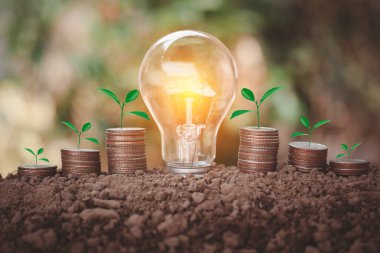 Enerji tasarrufu ampulü, toprak üzerinde ağaç olan bozuk para yığınlarının içinde doğal arkaplanda izole edilmiş enerji tasarrufu adımını göstermek için..