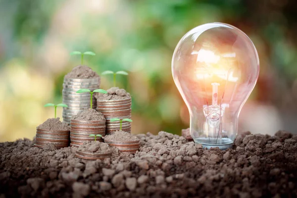 Light bulb with coin stacks and green plant on top, saving money, save energy concept put on the soil in soft green nature background.