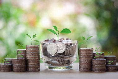 İçinde madeni para birikintileri olan cam bir kavanoz ve madeni paralar konsept üzerinde büyüyor para yatırımı, ev, kredi, eğitim, bokeh arka plan iş.