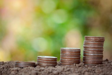 Toprakta para yığını, para biriktirme konsepti, ev, kredi, yeni doğan için plan, bebek, çocuk eğitimi, sahte arka planda paranın nasıl izole edileceği.