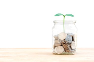 Cam kavanozda bir sürü madeni para ve bitki var. Metinler için fotokopi alanı, para biriktirmek, çocuğunuz, eviniz, krediniz için biriktirmek, beyaz arka planda izole edilmiş kredi yatırım kavramı..