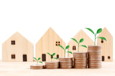 Üzerinde bitki büyüyen madeni paralar, tasarruf kavramı, yeni ev, aile planı, konut, kredi, para yatırım kavramı için para hazırlama beyaz arka planda izole.