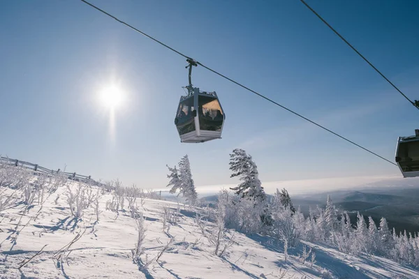 gondola ski lift in mountain ski resort, winter day, snowy spruce forest