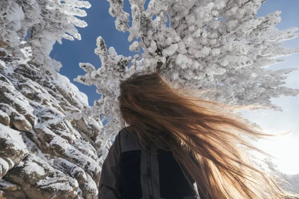 Hermoso Retrato Invierno Hembras Jóvenes Bajo Abetos Cubiertos Nieve Acantilado —  Fotos de Stock