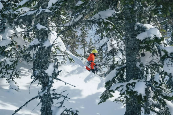 Snowboarder Freerider Spacery Narciarskie Lesie Dzikie Góry Zimowy Słoneczny Dzień — Zdjęcie stockowe