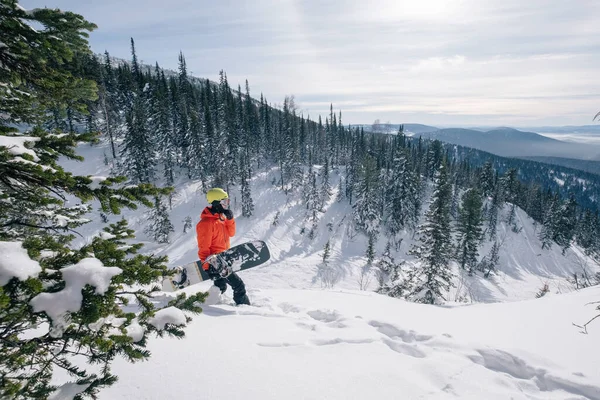 Snowboarder Freerider Walking Ski Touring Forest Wild Mountains Winter Sunny — Stock Photo, Image