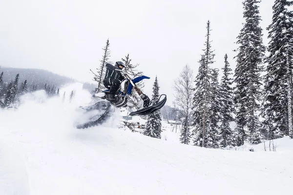 Jezdec Sněžném Kole Závodě Zimní Sportovní Soutěž Motokros — Stock fotografie