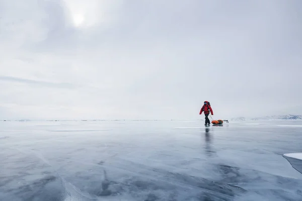 Turista Caminando Con Trineo Arrastrando Sobre Hielo Congelado Del Lago Imágenes De Stock Sin Royalties Gratis