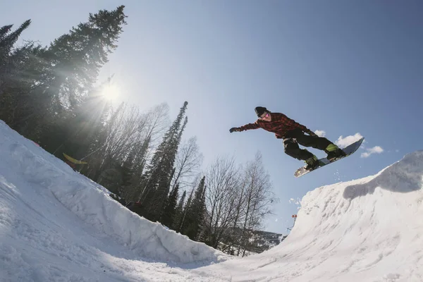 Snowboardista Samec Skákání Čtvrtině Trubky Snowboard Zimě Slunečný Den Freestyle — Stock fotografie