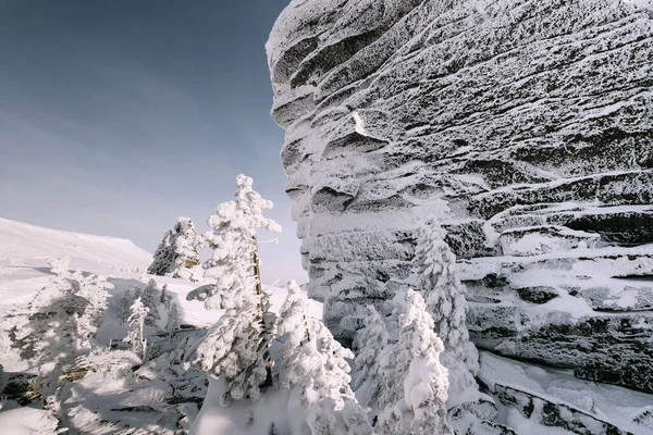 Felsen Die Mit Schnee Und Raureif Bedeckt Sind Sibirien Scheregesch lizenzfreie Stockbilder