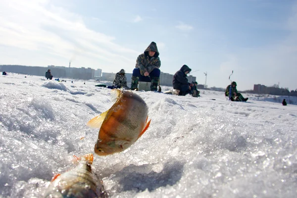 Winter fishing in Russia — Stock Photo, Image