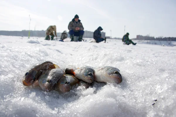 Χειμερινό Ψάρεμα στη Ρωσία — Φωτογραφία Αρχείου