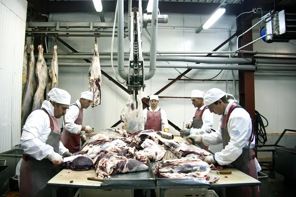 Carniceros cortan cadáveres — Foto de Stock
