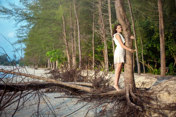 Woman hug a tree on tropical beach — Stock Photo, Image