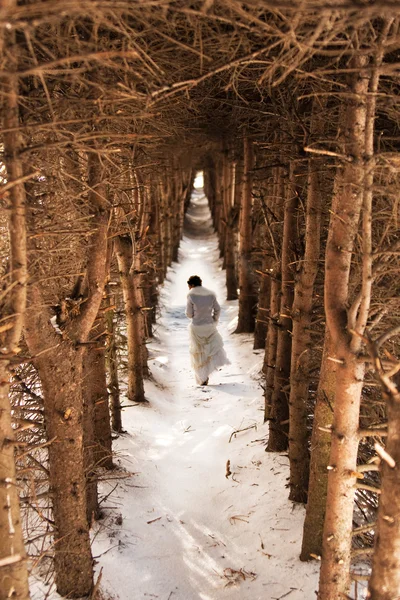 A téli erdő menyasszony — Stock Fotó