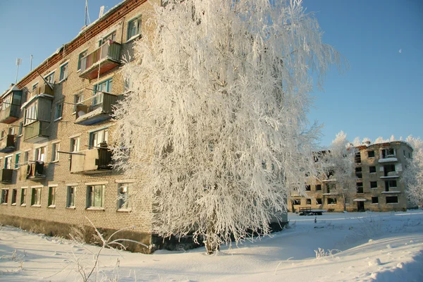 Rimfrosten på träden och övergivet hus — Stockfoto