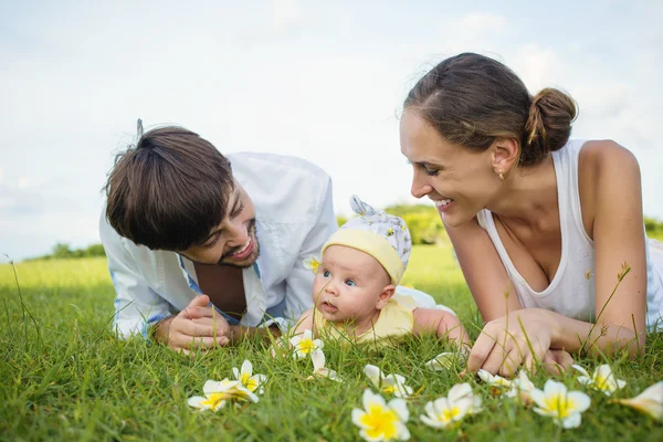 幸福的家庭，在草地上 免版税图库照片