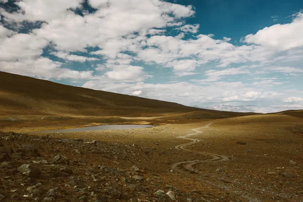 Altai montagne paesaggio — Foto Stock