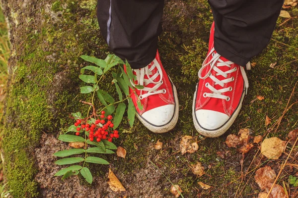 Legs in Red Sneakers and Red mountain ash — Stock Photo, Image