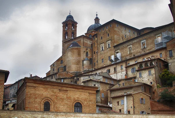 Urbino
