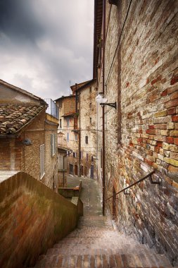 Urbino