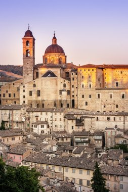 Urbino
