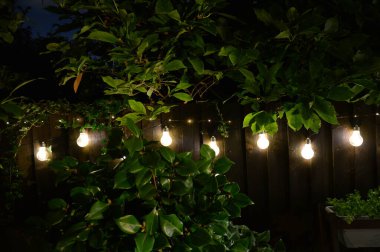 Parıldayan perili ışıklar bahçe çitlerini örterek, yaprakları örterek ve gecenin içinde yumuşak bir parıltı saçarak.