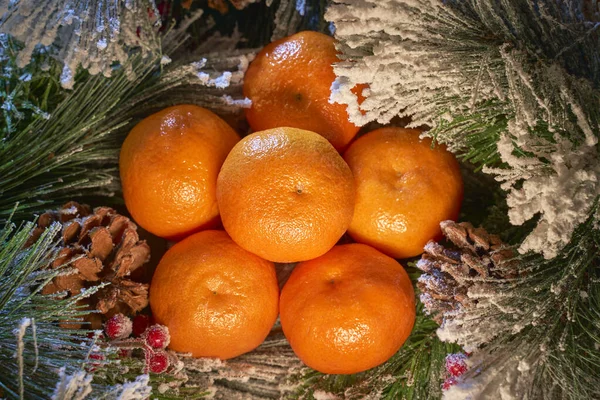 Ahşap arka planda portakallar ve köknar ağacı ile noel kompozisyonu