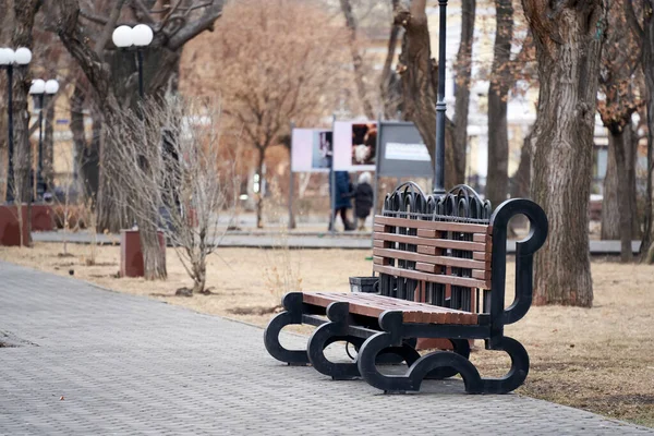 Bulutlu havada parkta yürü.