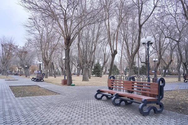 Bulutlu havada parkta yürü.