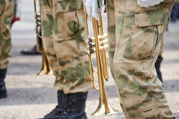 Askeri bandonun müzisyenleri müzik enstrümanları çalıyor.