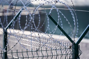 Dikenli teller, dikenli teller...