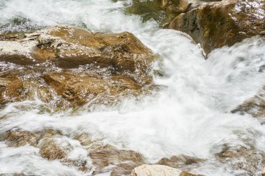 Ormanda ve dağda şelale
