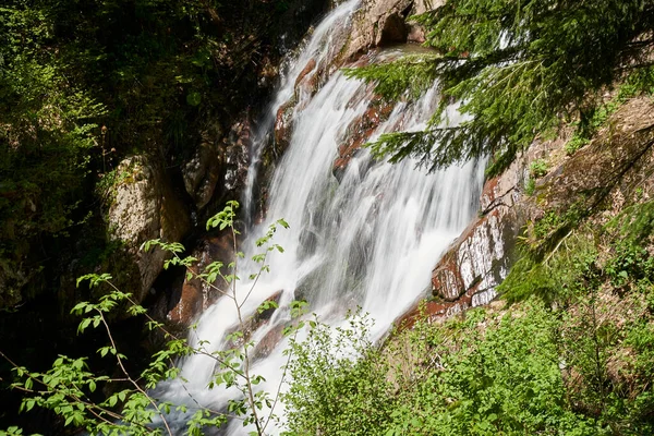 Ormanda ve dağda şelale