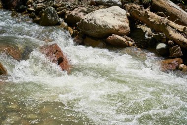 Ormanda ve dağda şelale