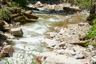 Ormanda ve dağda şelale