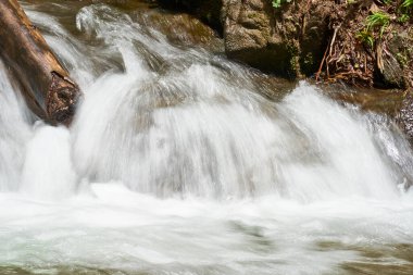 Ormanda ve dağda şelale