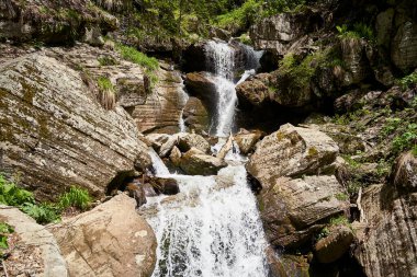 Ormanda ve dağda şelale