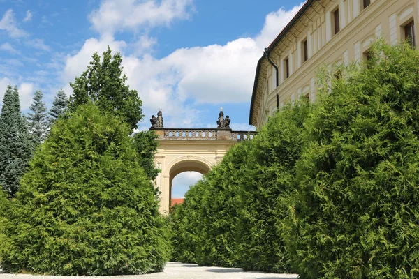 Trädgård Baste Zahrada Bat Prag Hradcany Sommar Varm Solig Dag — Stockfoto