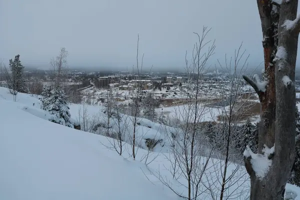 凍る川や雪に覆われた木々と冬の風景 — ストック写真
