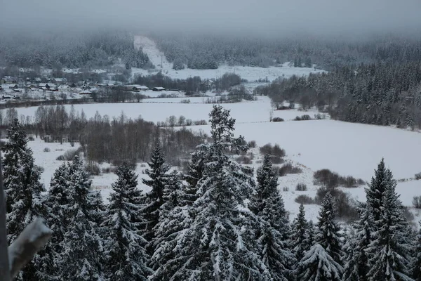 寒い冬には広大な松林の端に雪に覆われた村 — ストック写真