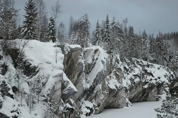 背の高い雪の上のトウヒの木 森の湖の近くの岩を覆う — ストック写真