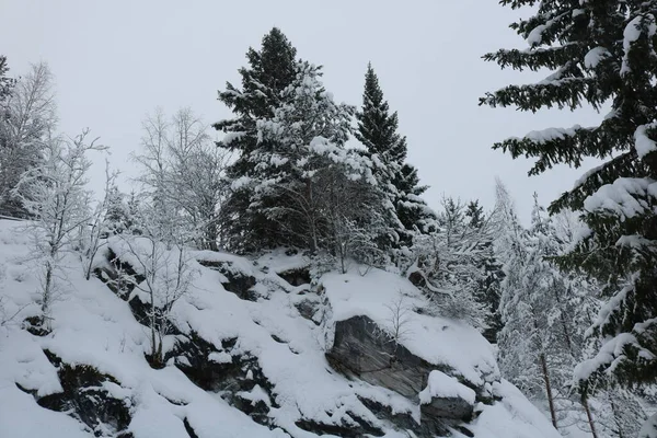 冬の空に対する岩の上の雪の木 — ストック写真