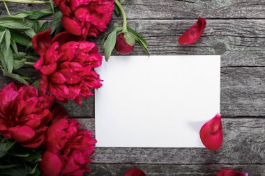 Beyaz kağıt kart, pembe şakayıklar ve ahşap arka planda taç yaprakları. Selamlama için boş alan